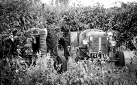 Hidden tractors, Chimney, Oxfordshire