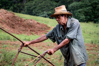 Farmer, Vinales, Cuba