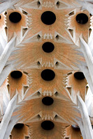 La Sagrada Familia - ceiling