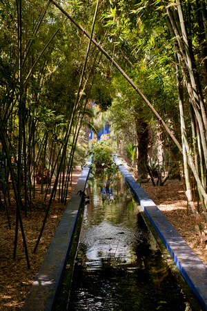 Majorelle Gardens, Marrakech