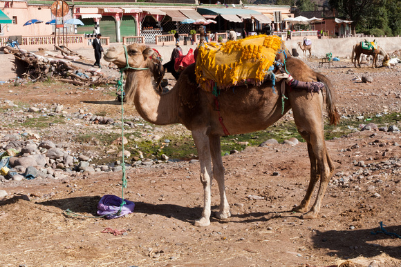 Atlas Mountains, Morocco