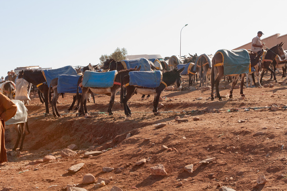 Berber Market, Tahanaoute, Atlas Mountains, Morocco