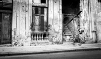 Havana