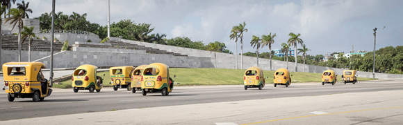 Havana