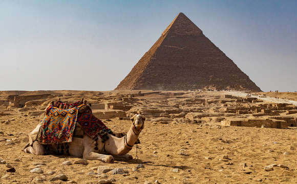 Camel and Pyramid